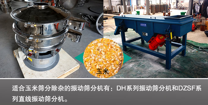 玉米振动筛分机 玉米振动筛分机