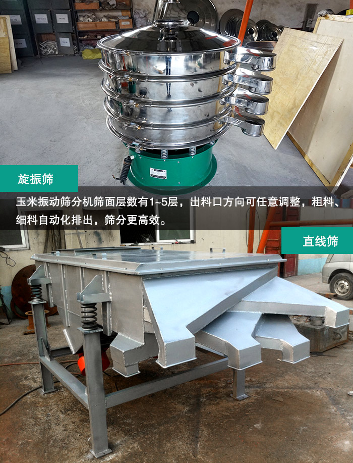 玉米振动筛分机 玉米振动筛分机