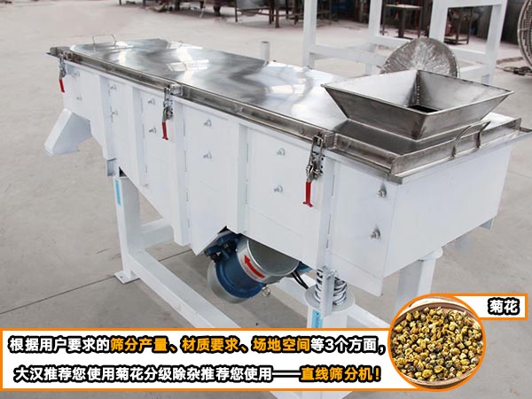 菊花直线自动筛 菊花直线自动筛