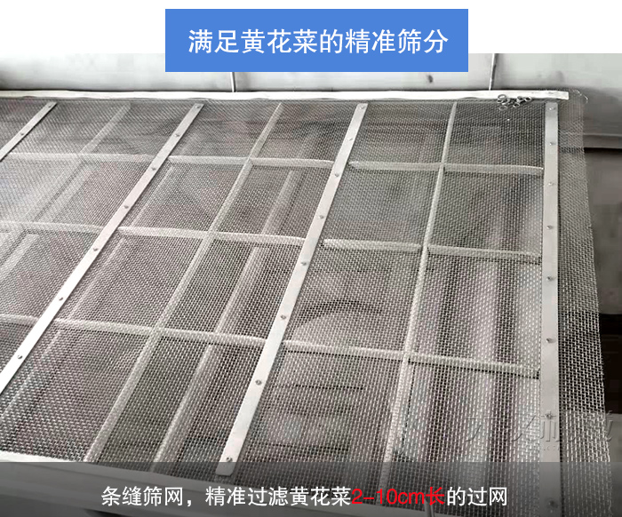 黄花菜直线振动筛