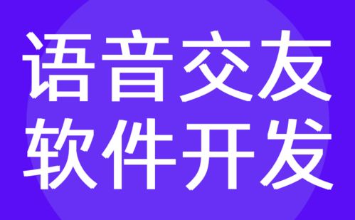 语音交友软件开发 随机匹配交友app定制公司 红匣子科技